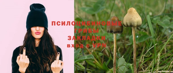 спайс Инсар