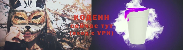 первитин Инта