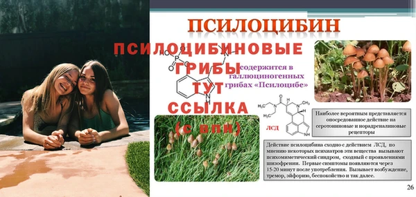 a pvp Иннополис