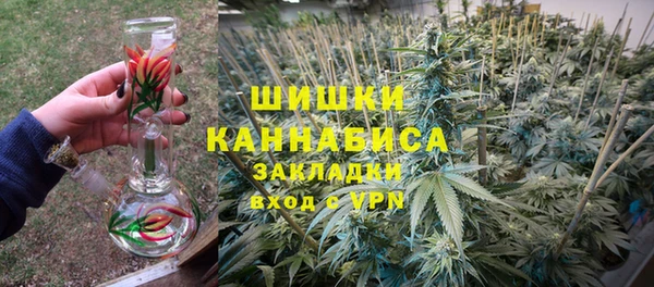 спайс Инсар