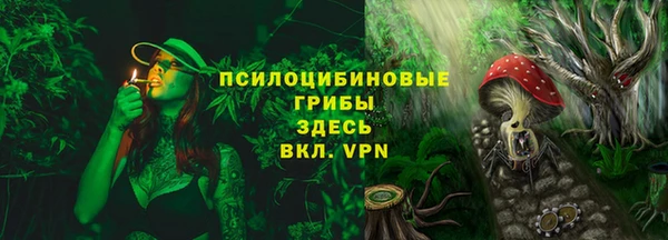 спайс Инсар